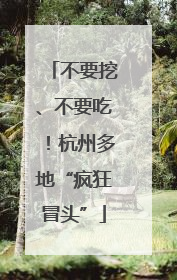 不要挖、不要吃！杭州多地“疯狂冒头”