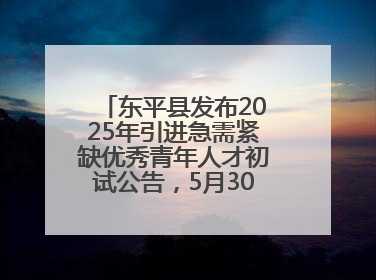 东平县发布2025年引进急需紧缺优秀青年人才初试公告，5月30日开展面谈