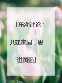 东湖评论：共建家园，思进图强