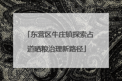 东营区牛庄镇探索占道晒粮治理新路径