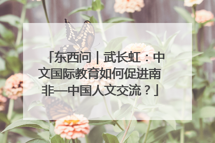 东西问｜武长虹：中文国际教育如何促进南非—中国人文交流？