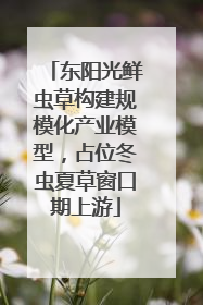 东阳光鲜虫草构建规模化产业模型，占位冬虫夏草窗口期上游