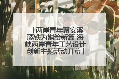两岸青年聚安溪 藤铁为媒绘新篇 海峡两岸青年工艺设计创新主题活动开幕