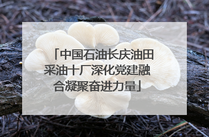 中国石油长庆油田采油十厂深化党建融合凝聚奋进力量
