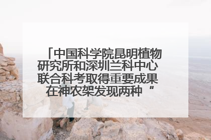 中国科学院昆明植物研究所和深圳兰科中心联合科考取得重要成果 在神农架发现两种“国保”级兰花