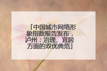中国城市网络形象指数报告发布，泸州：治理、宜居方面的双优典范