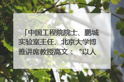 中国工程院院士、鹏城实验室主任、北京大学博雅讲席教授高文：“以人为本 智能向善” 推动文化与科技相生相促｜聚焦2025文化强国建设高峰论坛