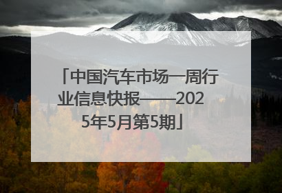 中国汽车市场一周行业信息快报——2025年5月第5期