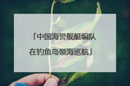 中国海警舰艇编队在钓鱼岛领海巡航