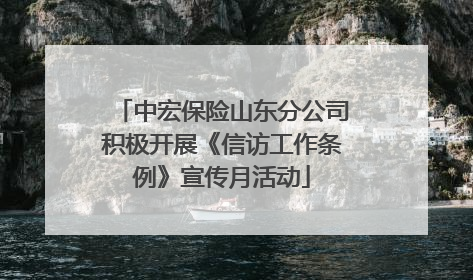 中宏保险山东分公司积极开展《信访工作条例》宣传月活动