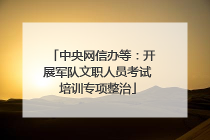 中央网信办等：开展军队文职人员考试培训专项整治