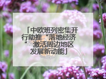 中欧班列密集开行助推“落地经济” 激活周边地区发展新动能
