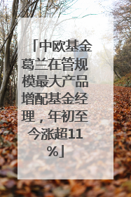 中欧基金葛兰在管规模最大产品增配基金经理，年初至今涨超11%