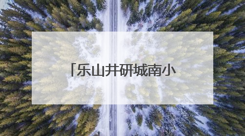 乐山井研城南小学：展现青春担当，共议身边要事