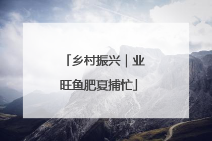 乡村振兴｜业旺鱼肥夏捕忙