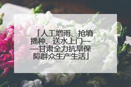 人工增雨、抢墒播种、送水上门——甘肃全力抗旱保障群众生产生活