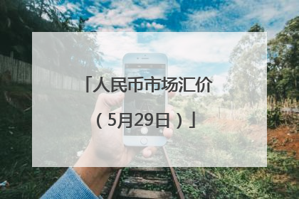 人民币市场汇价（5月29日）