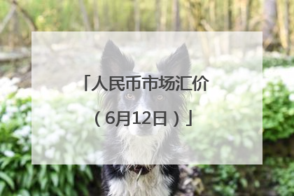 人民币市场汇价（6月12日）