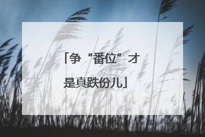争“番位”才是真跌份儿