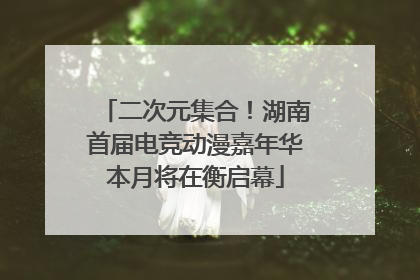 二次元集合！湖南首届电竞动漫嘉年华本月将在衡启幕
