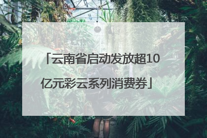 云南省启动发放超10亿元彩云系列消费券