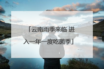 云南雨季来临 进入一年一度吃菌季
