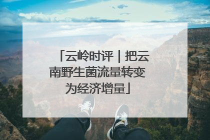 云岭时评｜把云南野生菌流量转变为经济增量