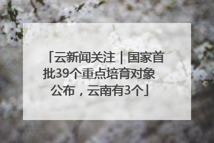 云新闻关注｜国家首批39个重点培育对象公布，云南有3个