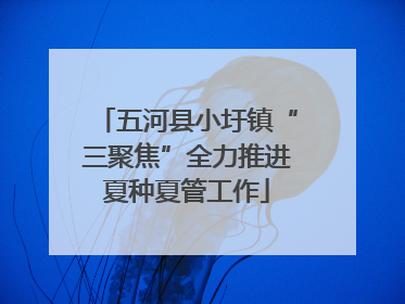 五河县小圩镇“三聚焦”全力推进夏种夏管工作
