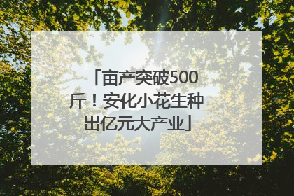 亩产突破500斤！安化小花生种出亿元大产业