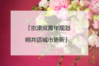 京津冀青年规划师共话城市更新