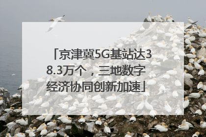 京津冀5G基站达38.3万个，三地数字经济协同创新加速