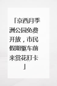 京西月季洲公园免费开放，市民假期驱车前来赏花打卡