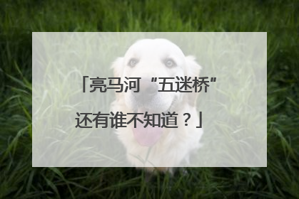 亮马河“五迷桥”还有谁不知道？