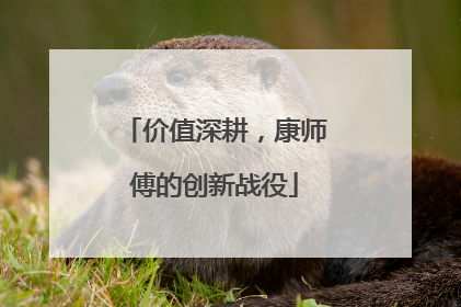 价值深耕，康师傅的创新战役