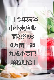 今年菏泽市小麦应收面积约930万亩，超九成小麦已颗粒归仓