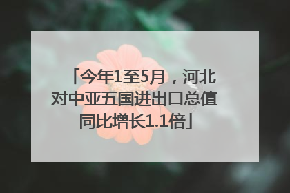 今年1至5月，河北对中亚五国进出口总值同比增长1.1倍