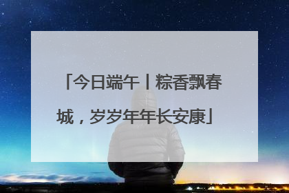 今日端午丨粽香飘春城，岁岁年年长安康