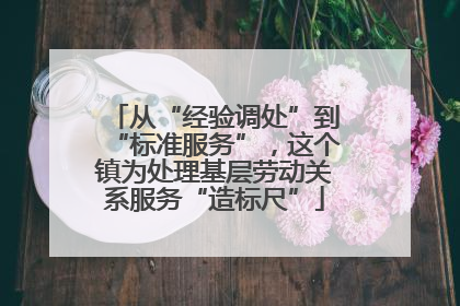 从“经验调处”到“标准服务”，这个镇为处理基层劳动关系服务“造标尺”