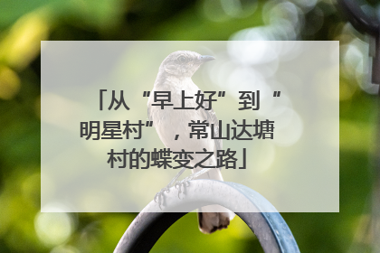 从“早上好”到“明星村”，常山达塘村的蝶变之路