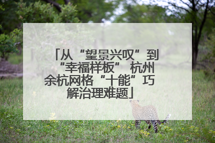 从“望景兴叹”到“幸福样板” 杭州余杭网格“十能”巧解治理难题