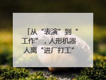 从“表演”到“工作”，人形机器人离“进厂打工”还有多久？｜机器人商业新纪元