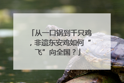 从一口锅到千只鸡，非遗东安鸡如何“飞”向全国？
