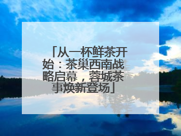 从一杯鲜茶开始：茶巢西南战略启幕，蓉城茶事焕新登场
