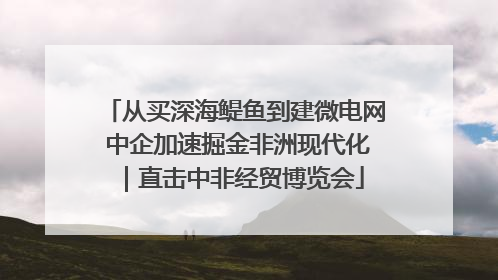 从买深海鳀鱼到建微电网 中企加速掘金非洲现代化｜直击中非经贸博览会