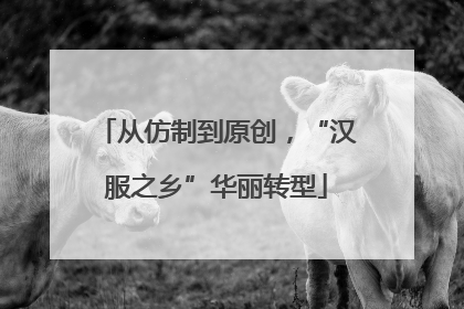从仿制到原创，“汉服之乡”华丽转型