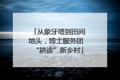 从象牙塔到田间地头，博士服务团“耕读”新乡村