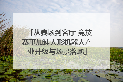 从赛场到客厅 竞技赛事加速人形机器人产业升级与场景落地