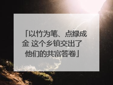 以竹为笔、点绿成金 这个乡镇交出了他们的共富答卷