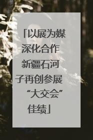 以展为媒 深化合作 新疆石河子再创参展“大交会”佳绩